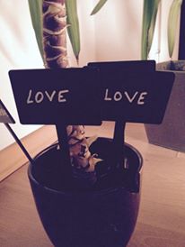 12714171_10153326897048456_160624108_n